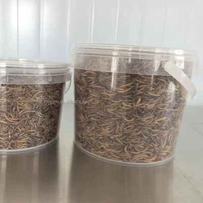 Dried Mealworms High Protein 1kg Customized Bucket Packaging 100% Pure Natural Mealworms Dried Pet Food