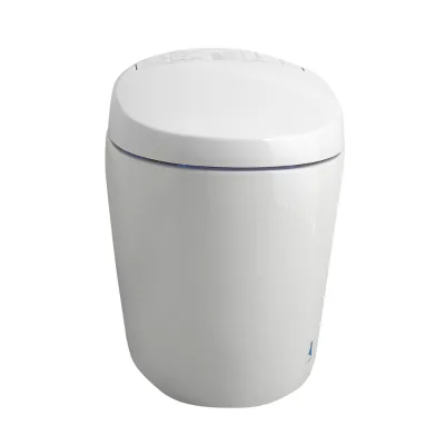 Hot Sale Item Bolina Fashion Style Ceramic Concealed Tank Floor Mounted One Piece Smart Toilet