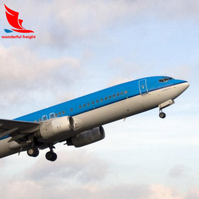 Fedex Express Freight Forwarding Service Direct Shipping From China to Algeria