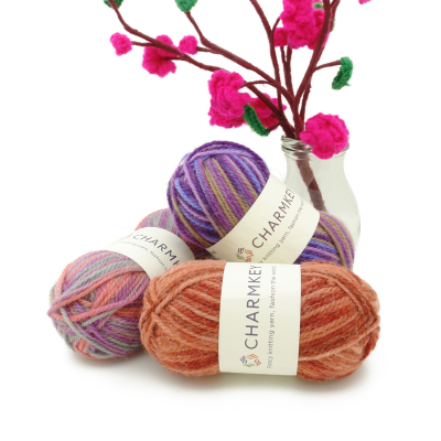 Super Soft 100% Wool Fancy Yarn High Quality for Knitting Blankets