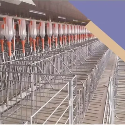Farm Use for Pig Farm Animal Feeding Nice Price Stable Quality Huge Automatic System for Farm Cattle Cow