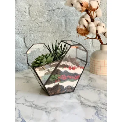 Geometric Greenhouse Glass Terrarium Plant Pots for Succulent Cactus Vases for Home Floor Usage