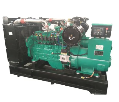 Methane Genset 200kw CNG/LNG/Biogas/Hydrogen/Heat Recovery Water Cooled Natural Gas Generator with Silent Canopy