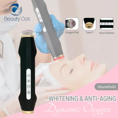 Handheld Facial Mini Co2 Oxygen Bubble Facial Exfoliation Personal Oxygenation Facial Beauty Machine