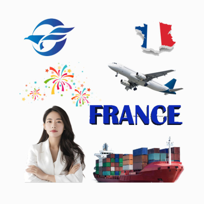 Interactive Logistics Door-to-Door Air+Trucking Freight Forwarder Service China Shipping DDP France 7-12 Days Transit Insurance