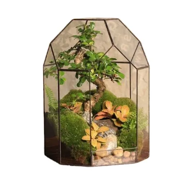 Glass Terrarium Kit Diamond Shape Glass Terrarium Plant Sarufo Glass Plant Terrarium Kit