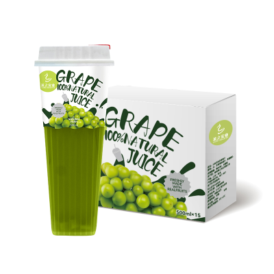 Factory Custom 500ml Natural Fruit Juice Beverage Soft Drinks Healthy Hydration Drink for Travel Use