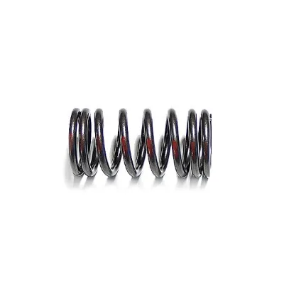 New 3932453 Valve Spring for Cummins4 BT Replacement