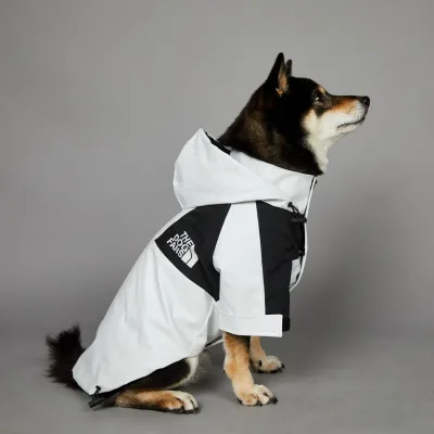 Eco-Friendly Modern Windproof Rainproof Winter Hooded Jacket Luxury Fashion White Large Dog Coats and Jackets