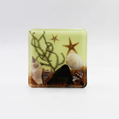 Professional Customized Ocean Ornaments Star Conch Seashell Themed Bookend Resin Crafts for Personal Gifts