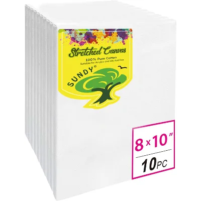 Stretched Canvas for Painting 8x10 Inch / 10 Pack 5/8 Inch Profile of Super Value Pack for Oil & Acrylic Paint