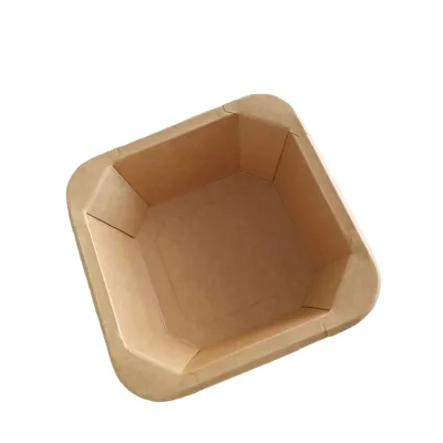 Biopoly 300ML 10oz Eco-Friendly Disposable Modern Square Octagon Lunch Box Kraft Paper Container Biodegradable