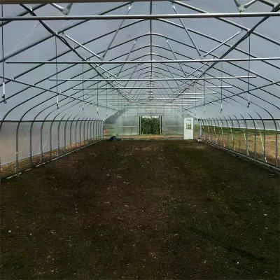 Agricultural PC Sheet Vegetables Greenhouse Customized Polycarbonate Greenhouse