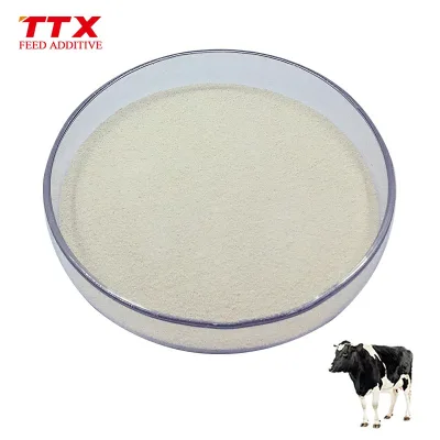 Powder Phytase Biofloc for Fish
