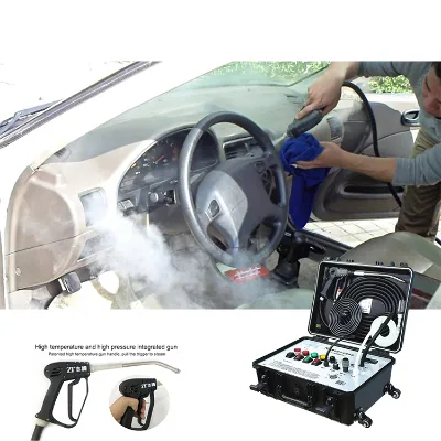 Hot Sale CE Approved High Pressure Cold Hot Water Cleaning Disinfection Machine 30S Rapid Car Steam Cleaner Car Washing Lift