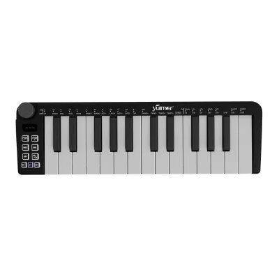Hot Sale Black 25 Keys Mini Portable Wireless Midi Keyboard Controller Smart Keyboard