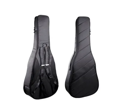 Acoustic Guitar Case