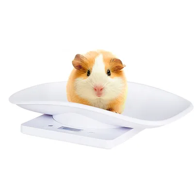 Pet Scale - Weighs Small Animals up to 15kg Electronic Kitchen Scale High-precision Hamster Scale for Small Cats
