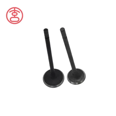 G4KE Intake Exhaust Valve for Hyundai Sonata / Santa Fe / Tucson Kia Optima Sportage OE 22211-2G000 22212-2G000