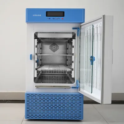 China Factory Lighting Incubator Top Lighting Function Lighting Incubator for Lab Cedrec