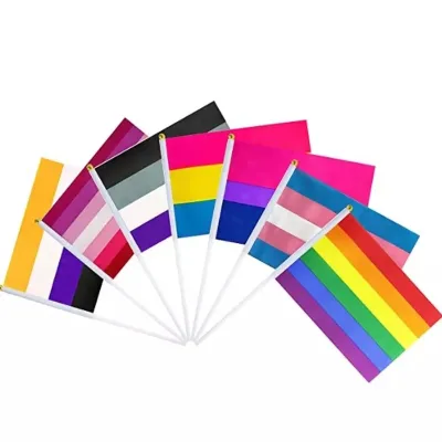 Small Mini Hand Waving rainbow Gay Pride Flag Sports Hand Flag Pride Rainbow Small Hand Flag on Plastic Stick for Pride Parade