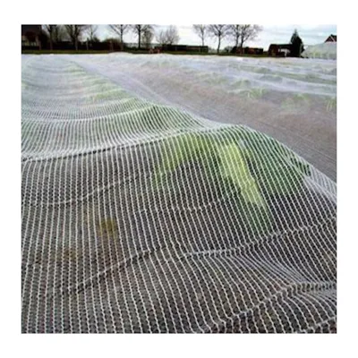 Cheap Bird for Trees Bird Netting Fruit Trees Fruit Tree Nets to Catch Fruit