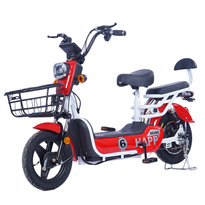 Bicycle Electric Elektro Moto Bicycles for Adults Cargo Electric Bike Mini Bicycle