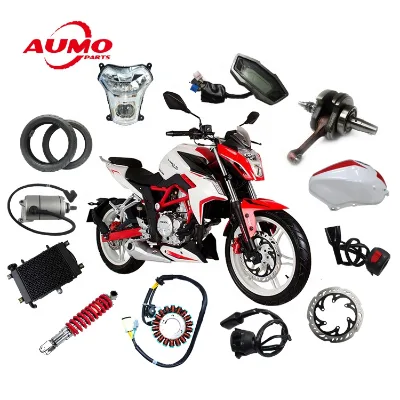Hot Sell 300cc Motorcycle Spare Parts for Loncin LX300-6 Italika VORT-X 300