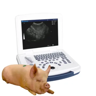 Veterinary Ultrasonido Portatil Sonar for Cow Horse Dog