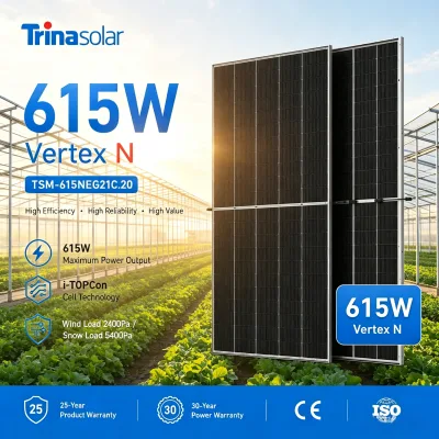 Factory Direct Ship Trina High Efficiency N-Type PV Module 610W Double-Glass Solar Panel Harness Sunlight for Homes