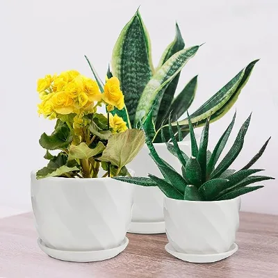 Set of 3 Hot Selling Ceramic Garden Plant Pots with Connected Saucer Different Sizes Flower Pot for Garden Best Seller