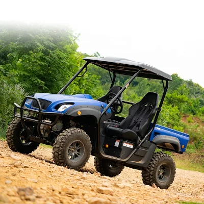 Electric Side by Side 4x4 Utility Vehicles for Sale