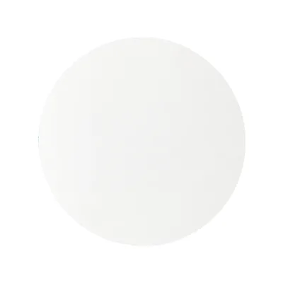 Factory Customized 55mm 70mm 90mm 110mm 125mm 150mm 180mm 185mm Lab Filter Paper Qualitative Filter Paper
