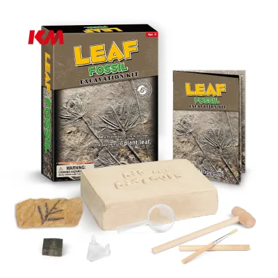 Educational Toys Kid Plant fossil Toy Same Product Factory Price Low MOQ Nature Geography Diy Leaf fossil Excavation Kit