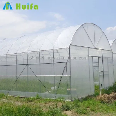 Commercial Green House Sale in China Agriculture Greenhouse 40 X 60