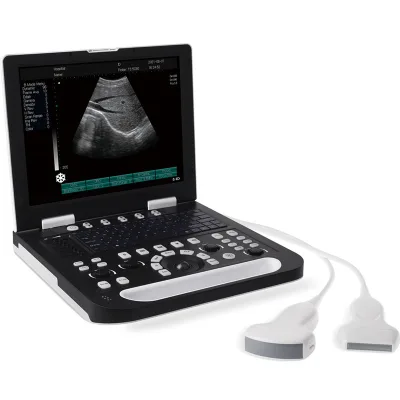 Medical Dual Probe Interface 15 Inches LCD Echographe Portable B/W Ultrasound Instruments