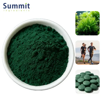 Wholesale High Quality 100% Spirulina Powder Food Grade Purity Halal Kosher Green Spirulina Extract Powder