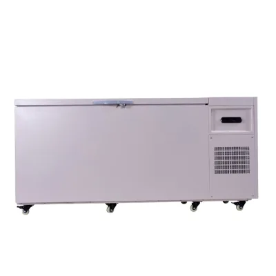Stainless Steel Frost Free Chest Cryogenic Freezer -86℃ Ultra Low Temperature Freezer