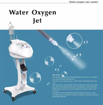 Professional Oxygen Spray Facial Machine Non invasive Skin Rejuvenation Beauty Device