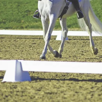 Fence White Vinyl Pvc 20x60 Dressage Arena Horse Dressage Arena Fencing