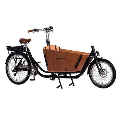 China Stock Electric Cargo Bicycle Cheap Price 2-Wheel Adult E-Bike with Rear Hub Motor Steel Frame and 36v Lithium Battery