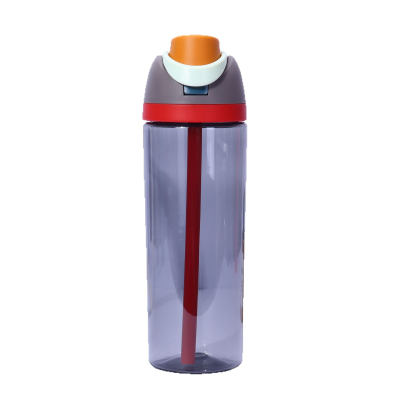 DD3940  New Fitness Sports Water Bottle Double Drinking Straw Transparent Plastic Pop-Up Lid for Tours Travel Fruit Cup