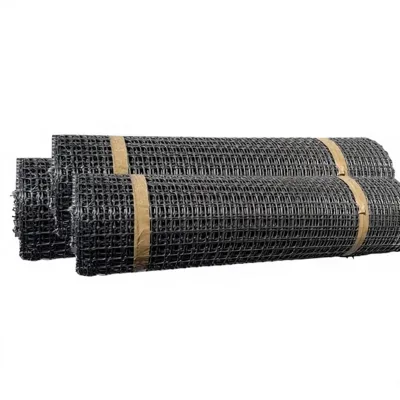 Quick Dispatch Small Order High Tensile Polyester Geogrid for Roadbed Reinforcement