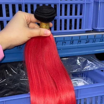 14-30 Inches Raw Virgin Vietnamese Hair Bone Straight Cambodian Hair Vendor