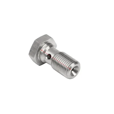 CNC Stainless Steel Hollow Nut Bolt for Auto Brake Hose Fitting M10x1.0 Threaded Silver Shengyu Brand Universal Fit 1 Year