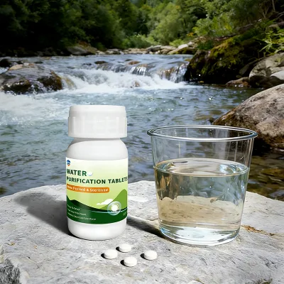 Airpurgy Water Purification Tablets, 0.1g/Tablet, 100 Tablets/Bottle, Outdoor Household Home Water Clean Disinfect Sterilization