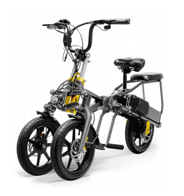 Factory New Design Electric Bicycle Direct Sale Adult Cheap Price Electric Bike with Three Wheels
