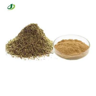 Herbal Thymus Mongolicus Ronn Extract Thymus Vulgaris Extract Powder 10:1
