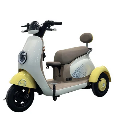 Higher Quality Most Safety Electric Tricycle for Disabled / Disabled Motorized Tricycles