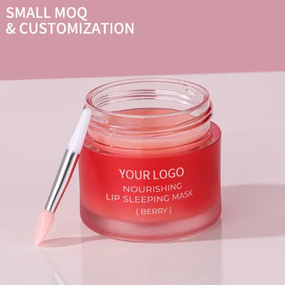 Private Label Lip Mask Custom Logo Hydrating Moisture Mask for Preventing Chapping Natural Color Makeup Moisture Lips Care Set